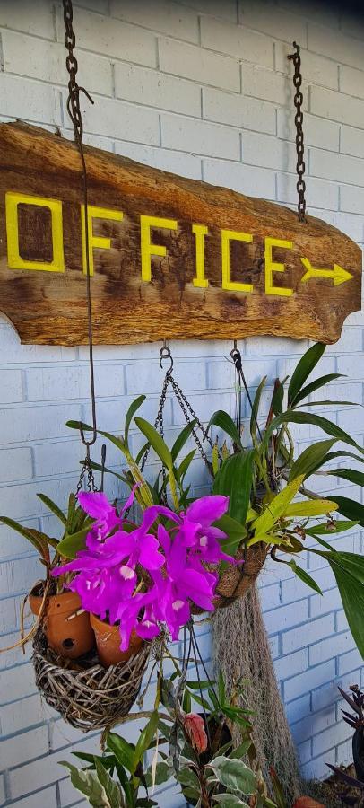 Cardwell Beachfront Motel מראה חיצוני תמונה